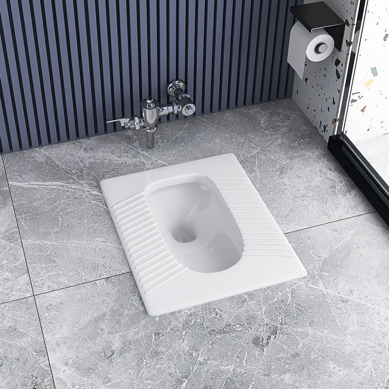 open squat toilet, также известный как китайский туалет
